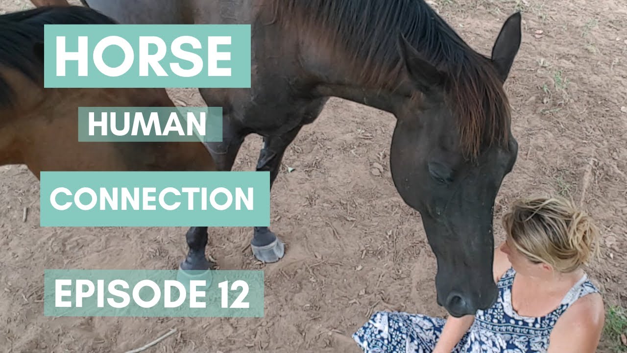 Horse Human Connection Ep12