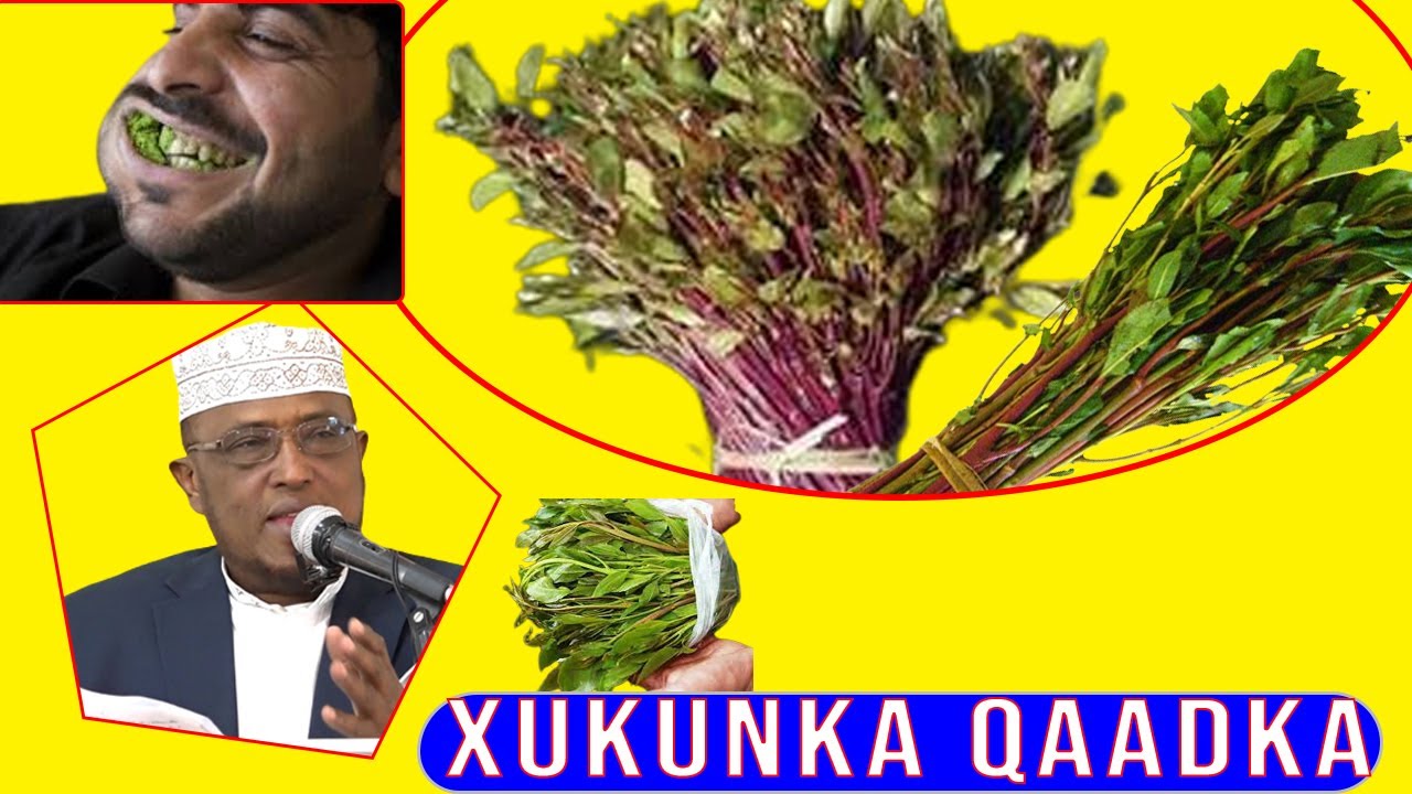 Xukunka Qaadka | Sheekh Dirir