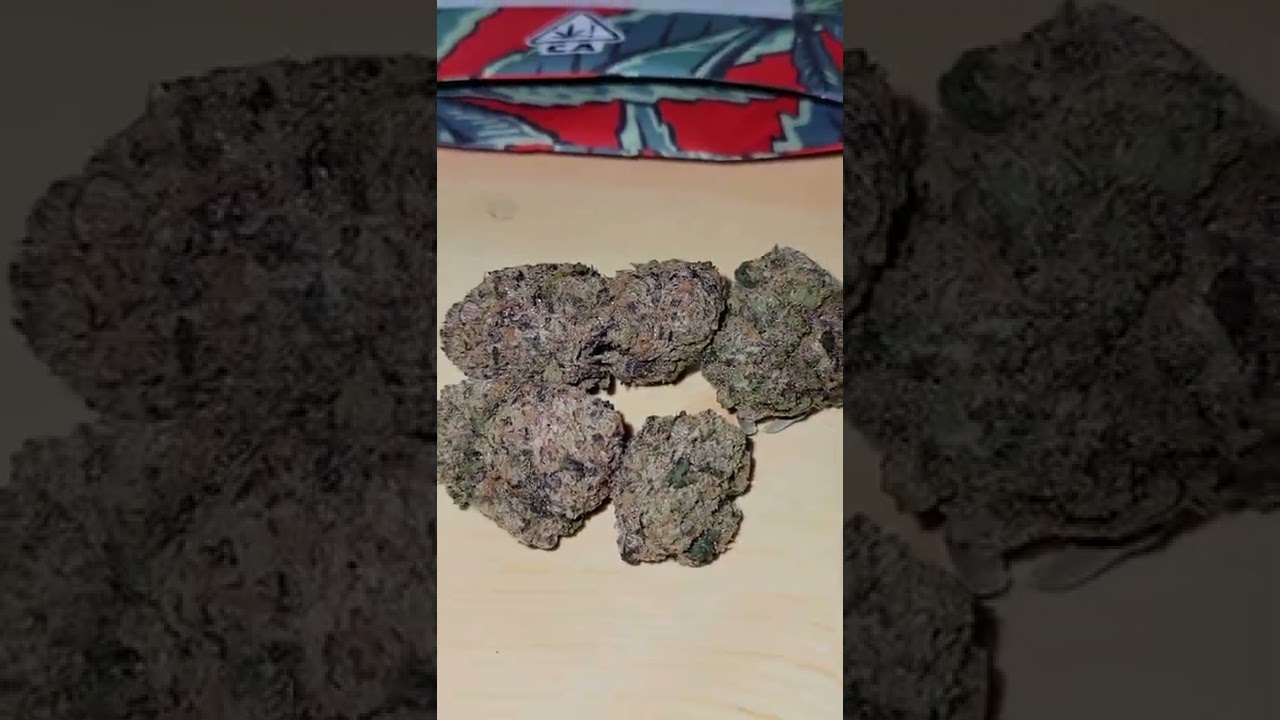 Gello Gelato cultivated by Sherbinskis