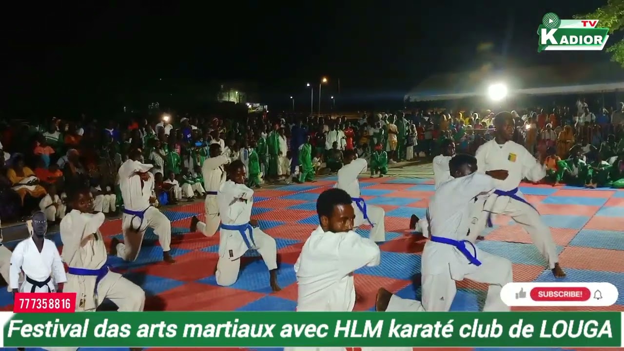 festival das arts martiaux avec HLM karaté club