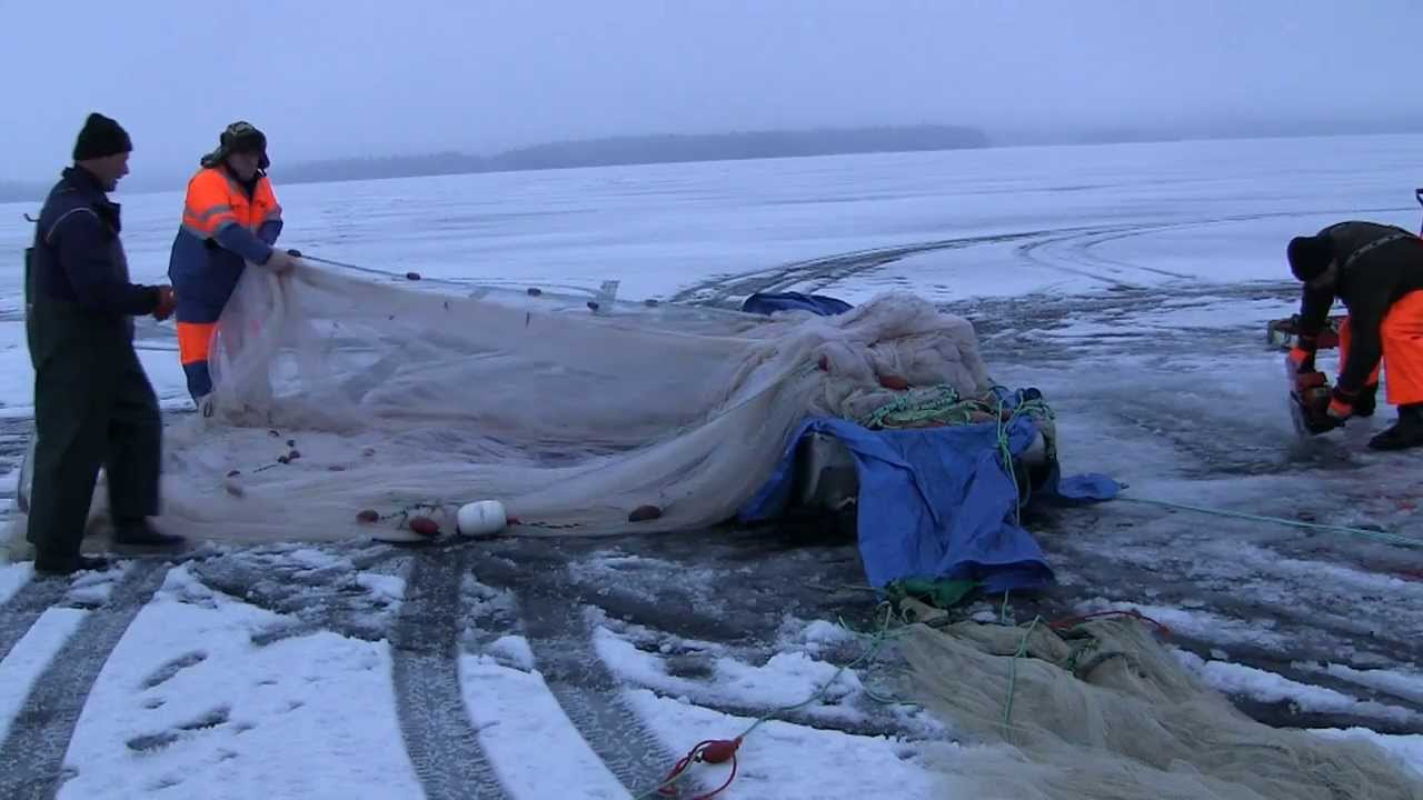 MUIKKUAPAJA TALVELLA