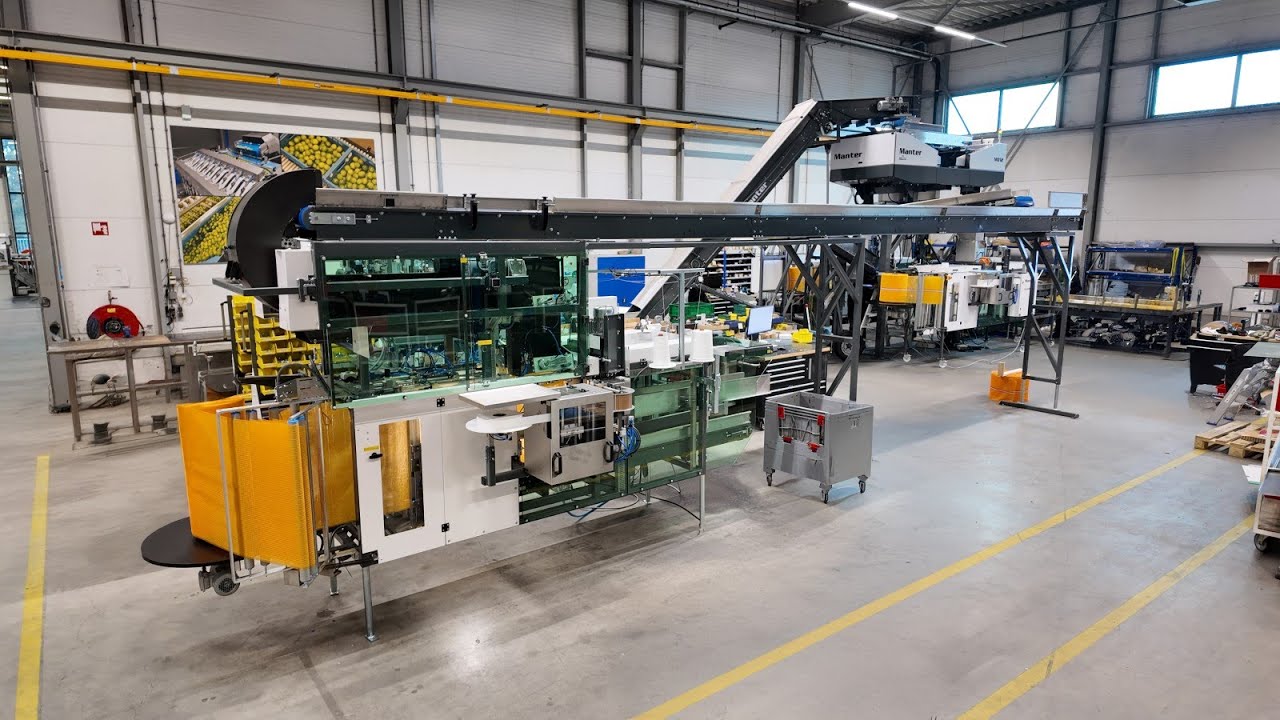Potato packaging line for mesh bags bundled into a master mesh bag