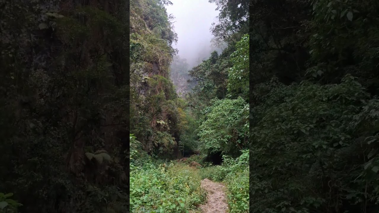 Gratitud 😌 #reflexionesdeldia #reflexion #nature #shortsviral #youtube #shortsfeed #fe #feed #shorts