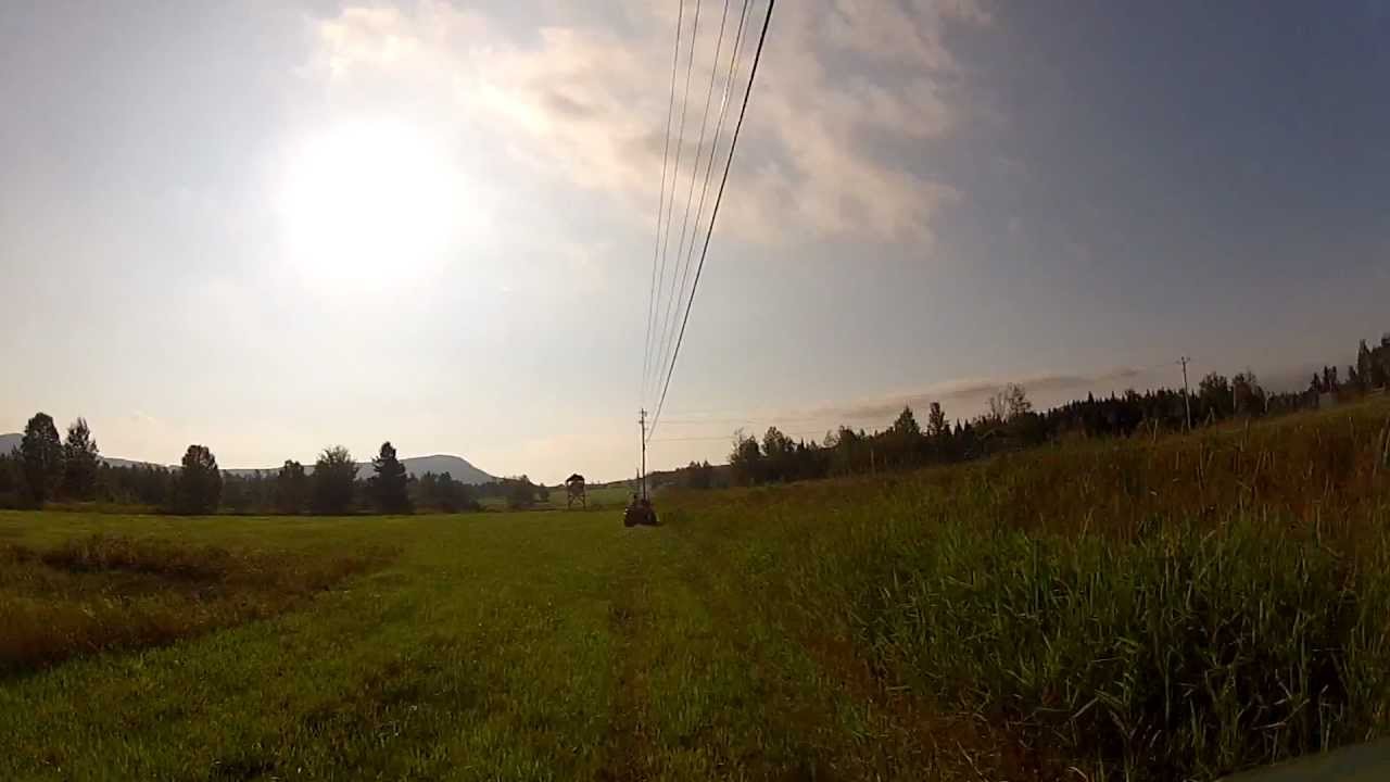 Early Morning Ride
