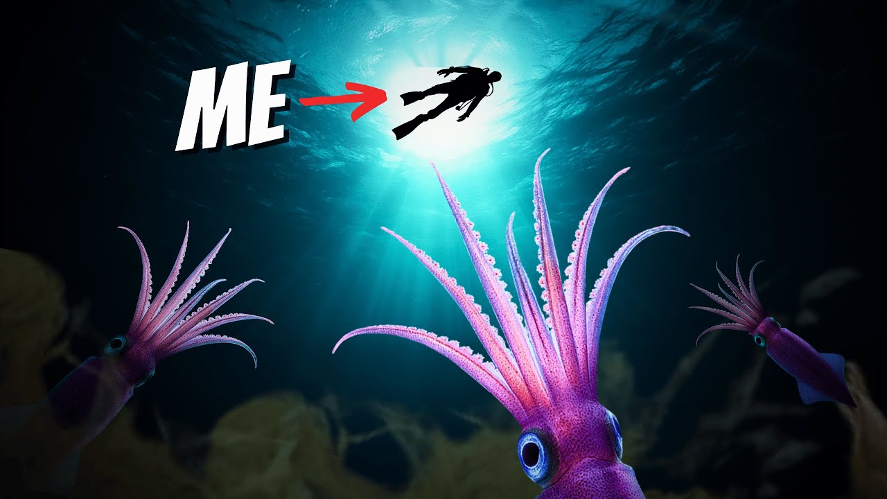 I Drifted in the Deep Ocean at Midnight: Here’s What Followed Me
