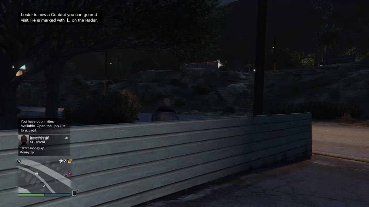 GTA Morning Crime