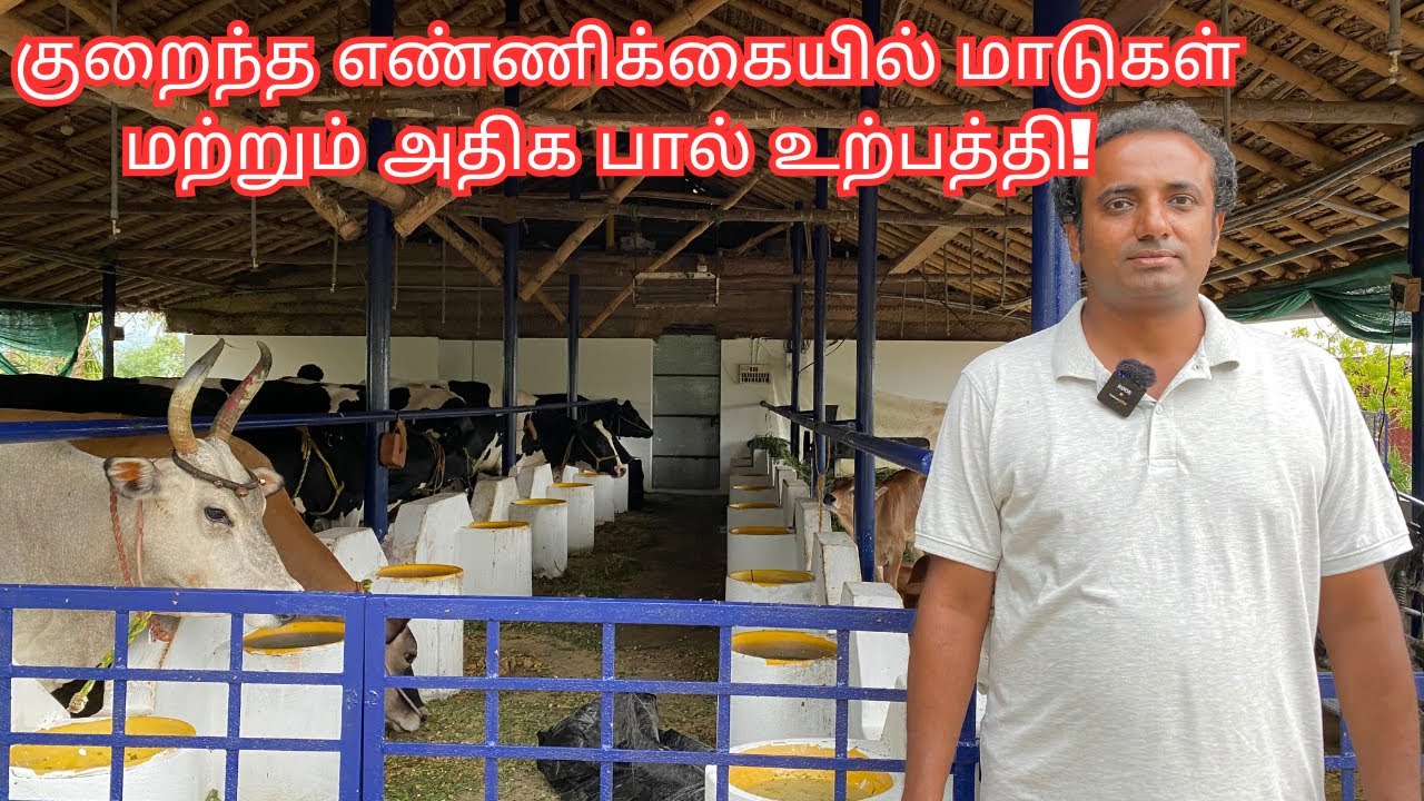 Vasantham Dairy Fam