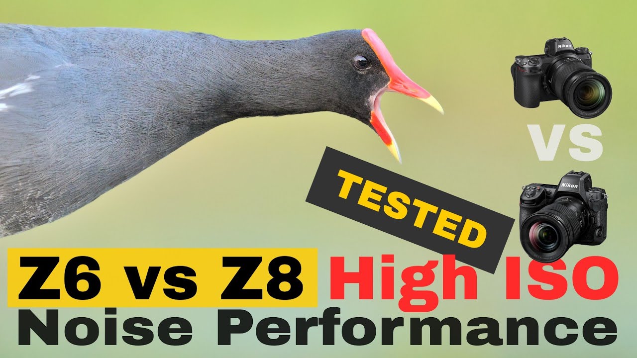 Nikon Z6 vs Nikon Z8 High ISO Noise Performance Tested