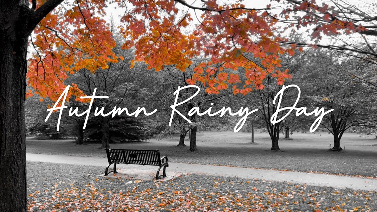 Autumn Rainy Day / Cinematic Short Film / Nature B-Roll