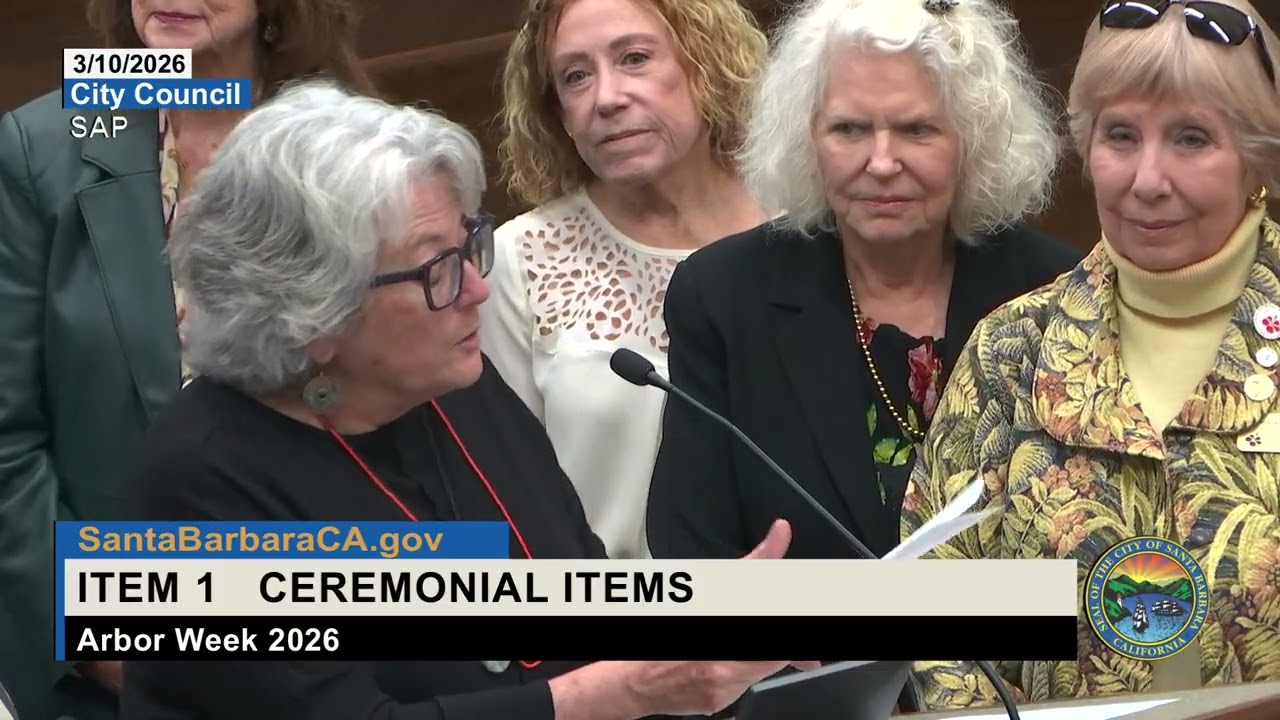 City Council - March 10, 2026