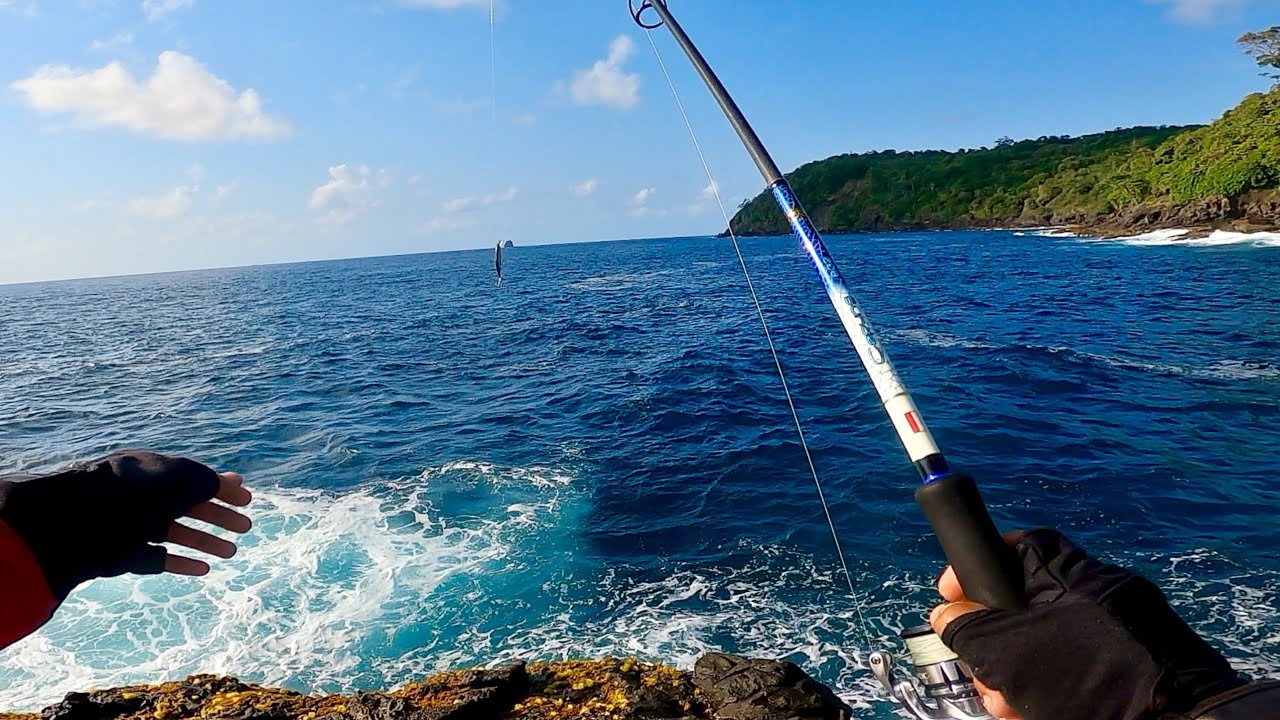 COBA SEGALA TEKNIK MANCING DI SPOT PREDATOR PINGGIR LAUT