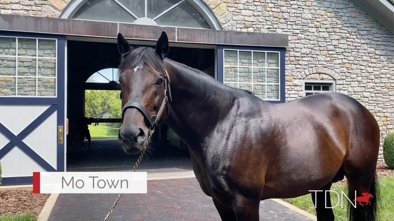 Mo Town: The Next Star for Sire of Sires Uncle Mo?