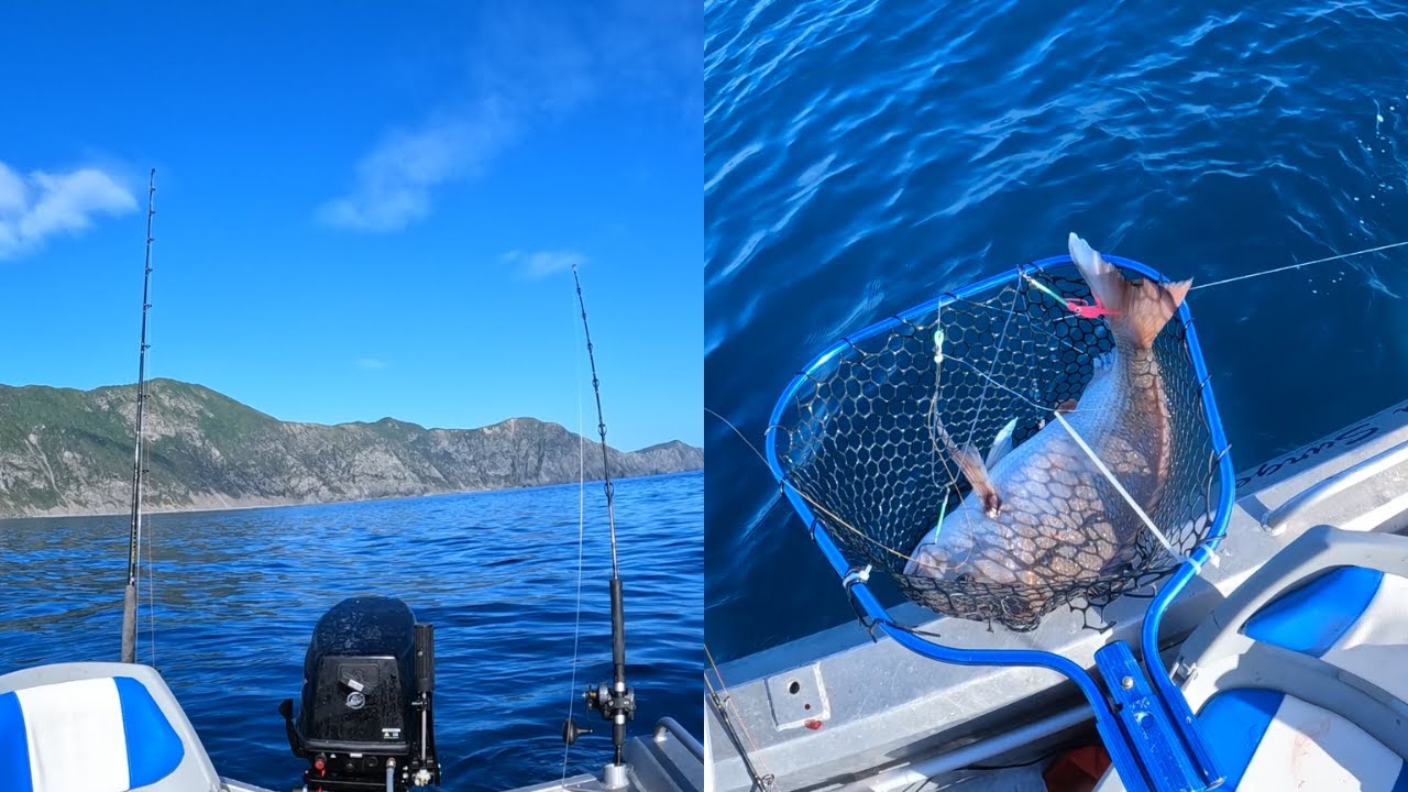 BIG SNAPPER BEHIND KAPITI ISLAND - Kapiti coast fishing