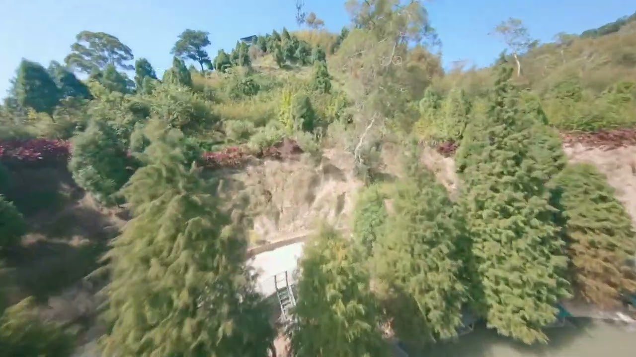 DJI AVATA 落羽松莊園