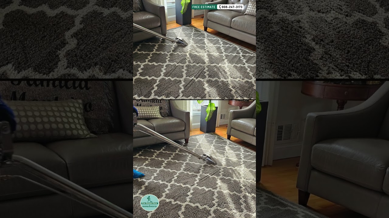 ✅Keep Your Rugs Spotless: Area Rug Cleaning-Westfield NJ #rug