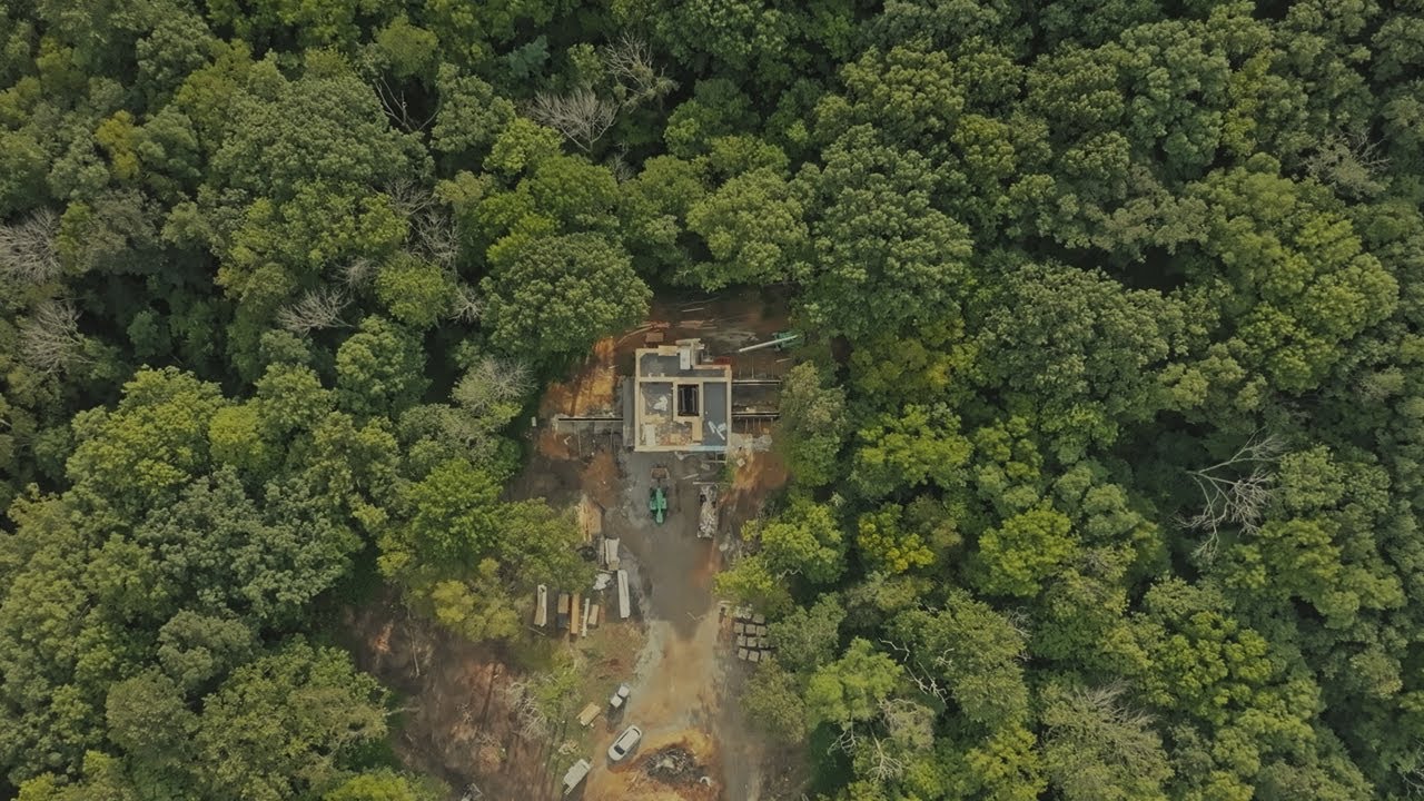 James Hamilton Architects _ House in the Woods