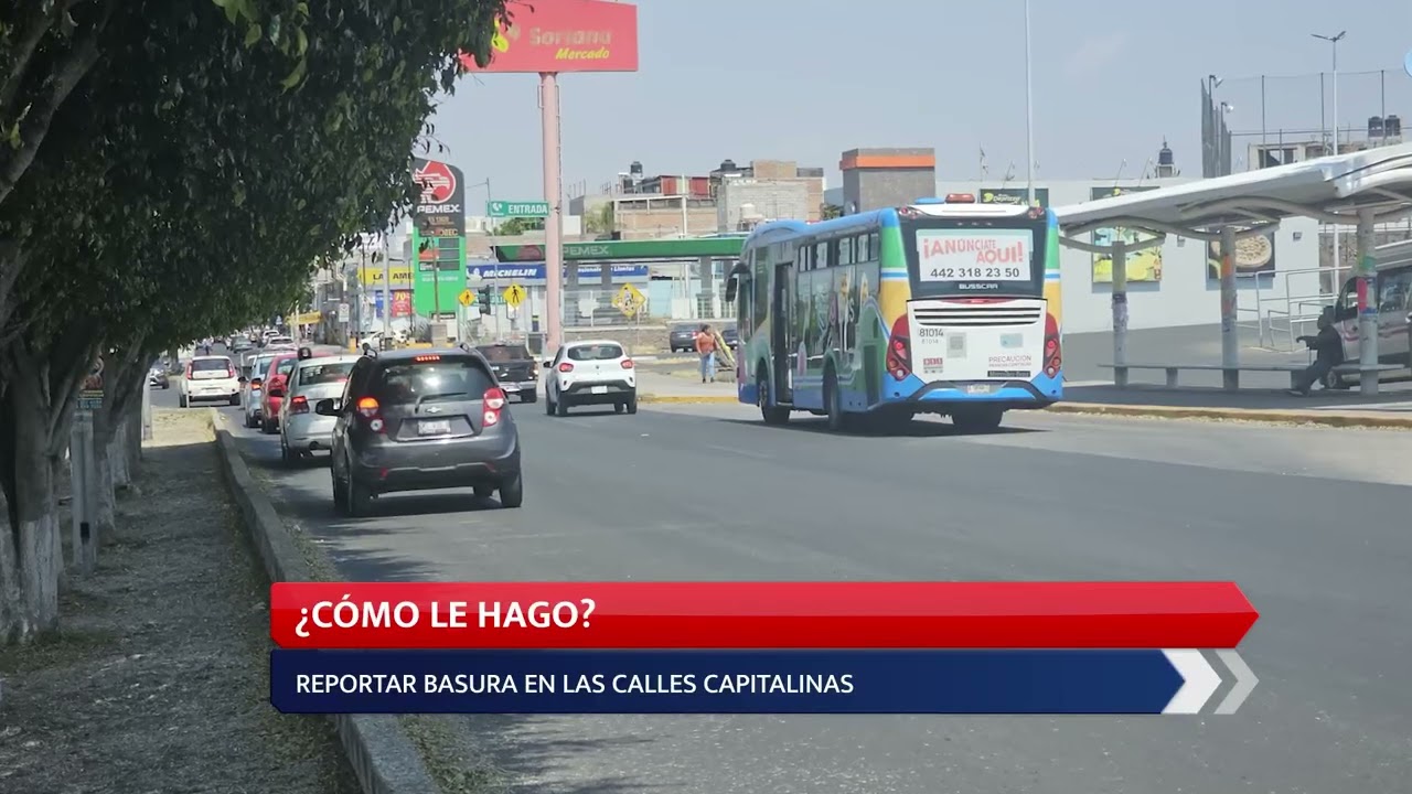 REPORTA BASURA EN LAS CALLES | ¿CÓMO LE HAGO?