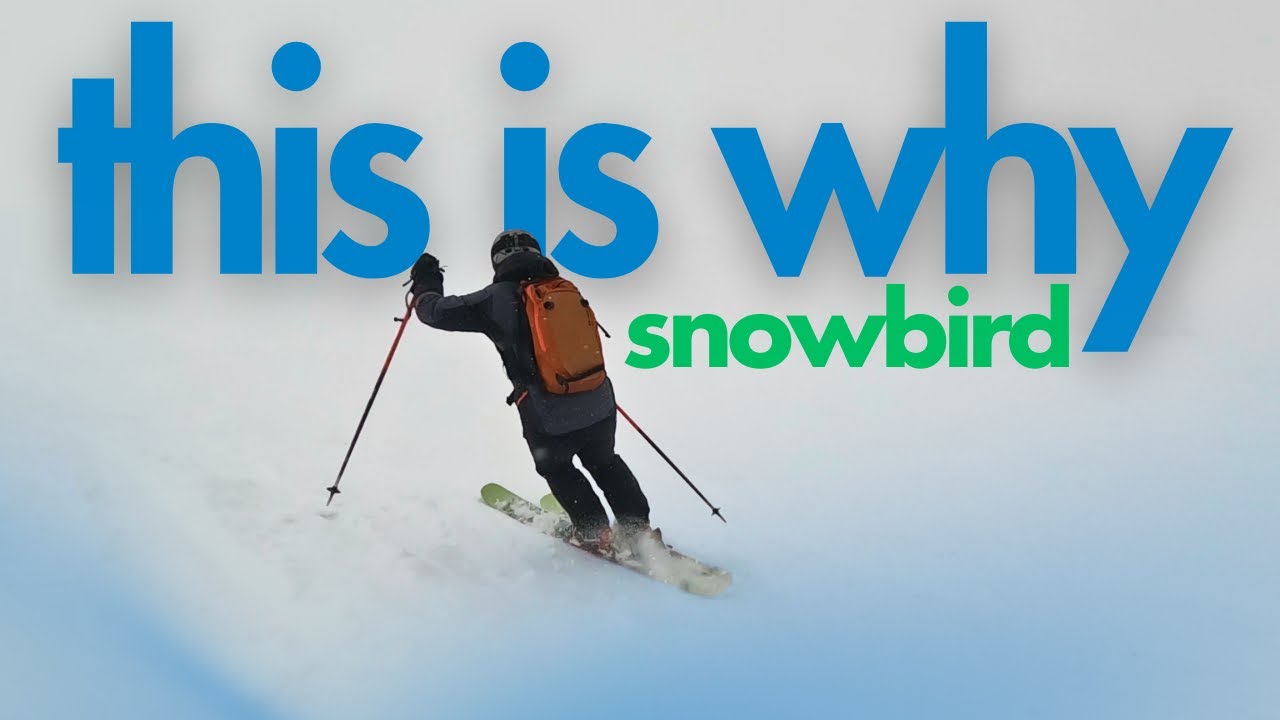Why a Snowbird Powder Day Is Harder Than You Think