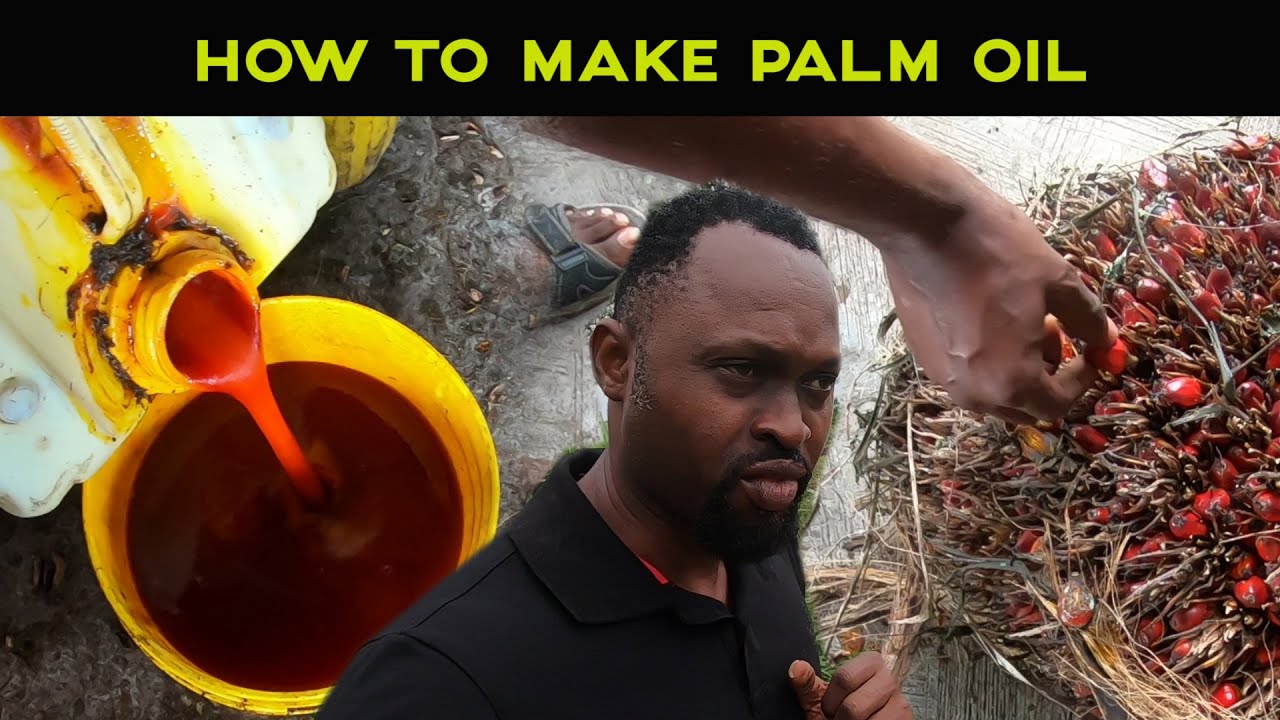 HOW TO MAKE PALM OIL II THE PROCESS #BestPolmOilProducer
