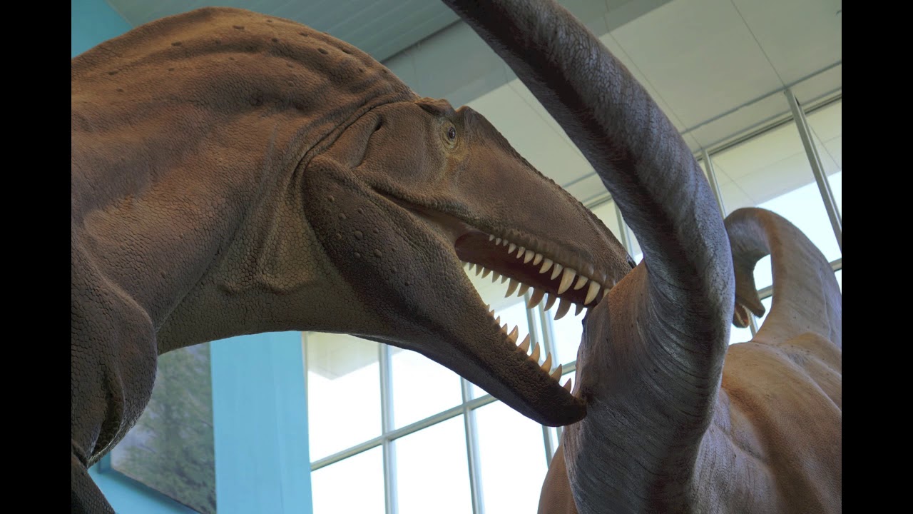 Maryland Science Center Dinosaurs Baltimore Upclose Detailed