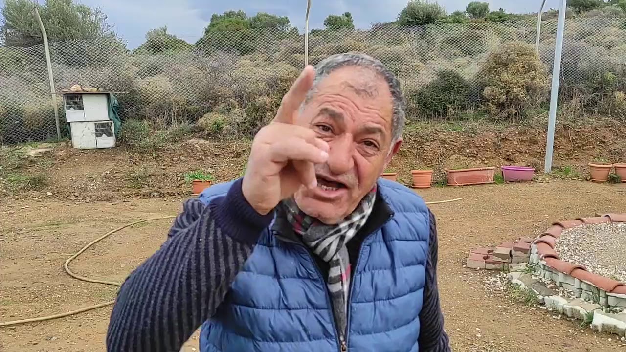 Bage bako iş makinası verdi bir yavru vermeyen hacı Fadıl!
