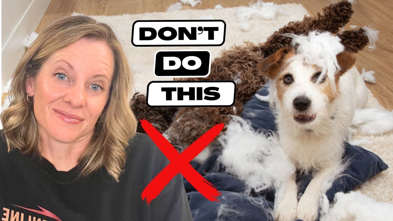 The BIGGEST Mistake People Make when Bringing Home a New Puppy