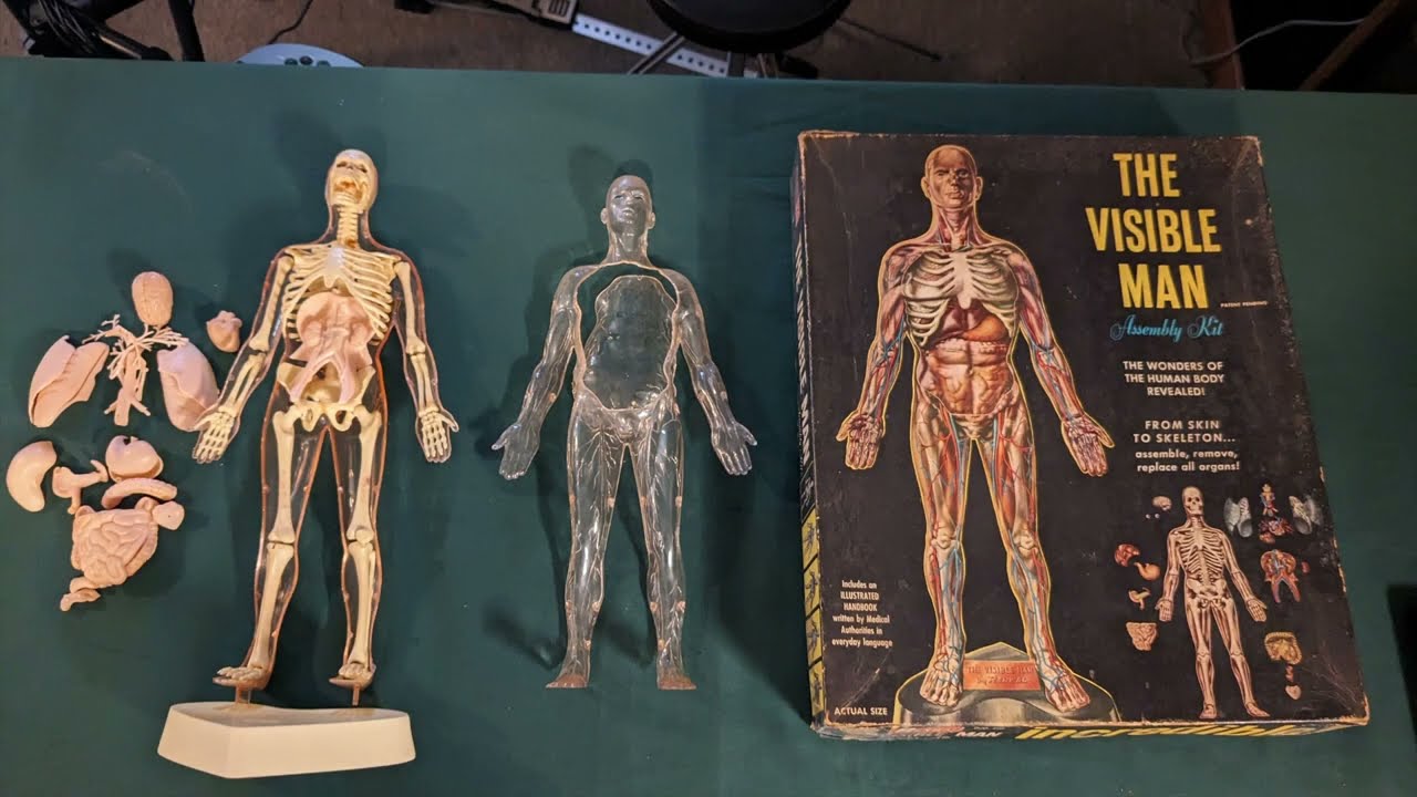 The Visible Man Renwal 1959 a Project by William Bradford Baldwin