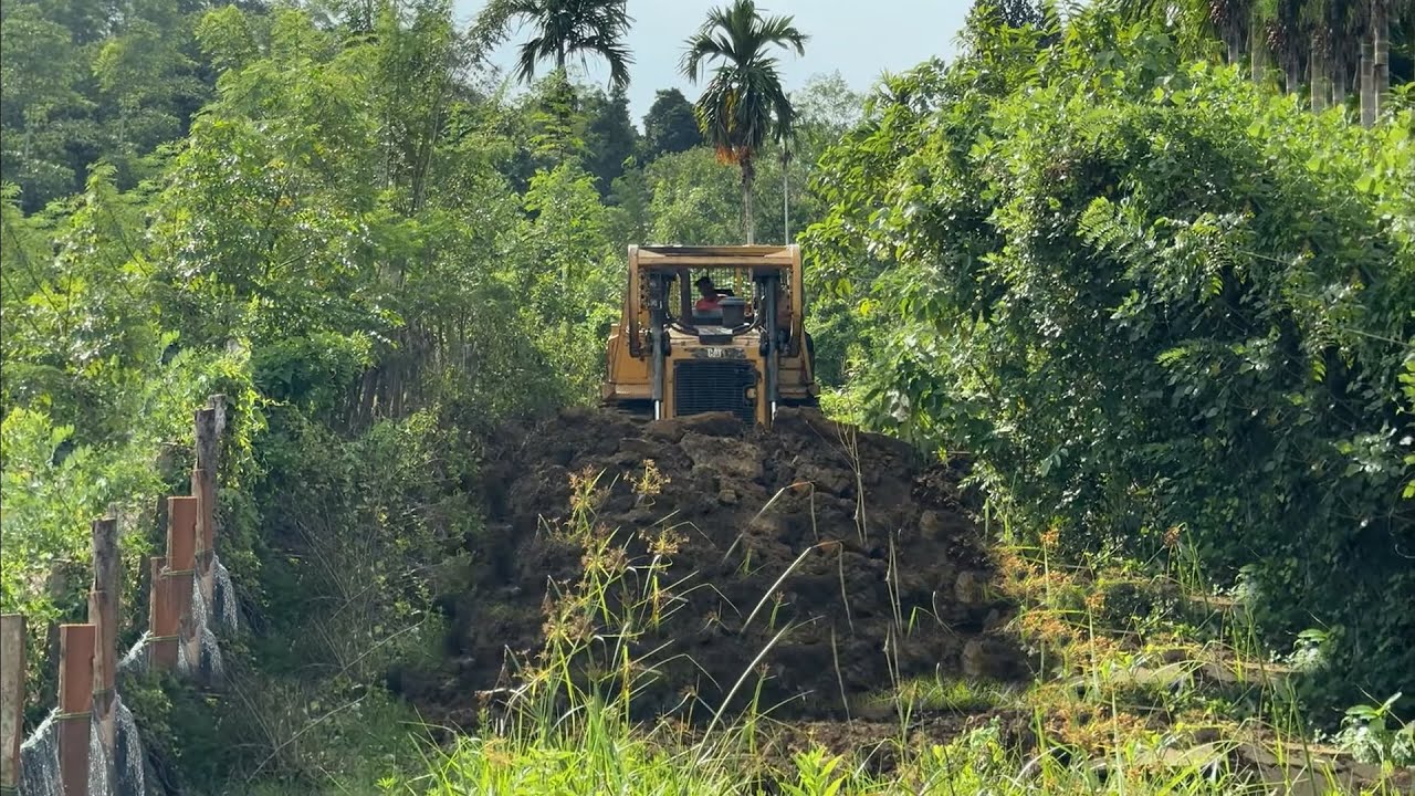 Amazing! Bulldozer D6R XL Main Tool for Oil Palm Plantation Land Clearing