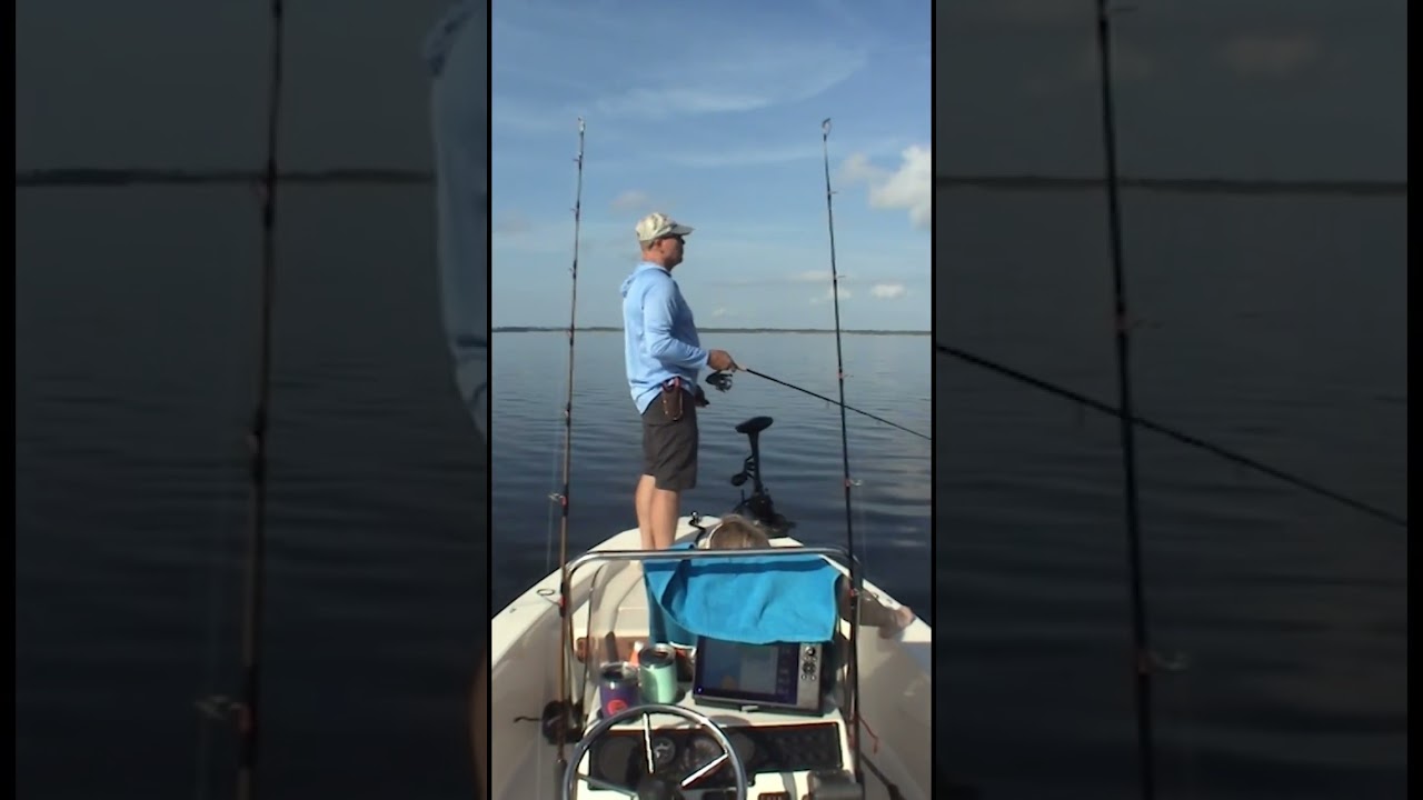 Best $75 I&rsquo;ve ever spent