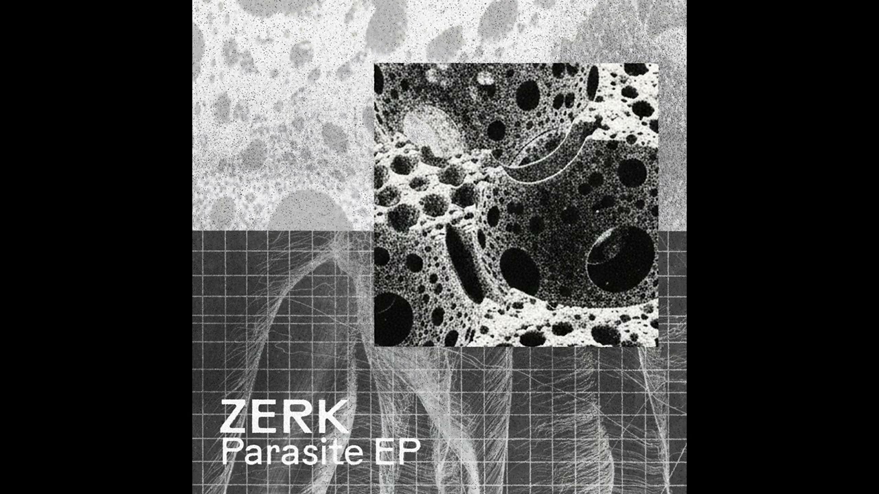 Zerk (SA) – Leech