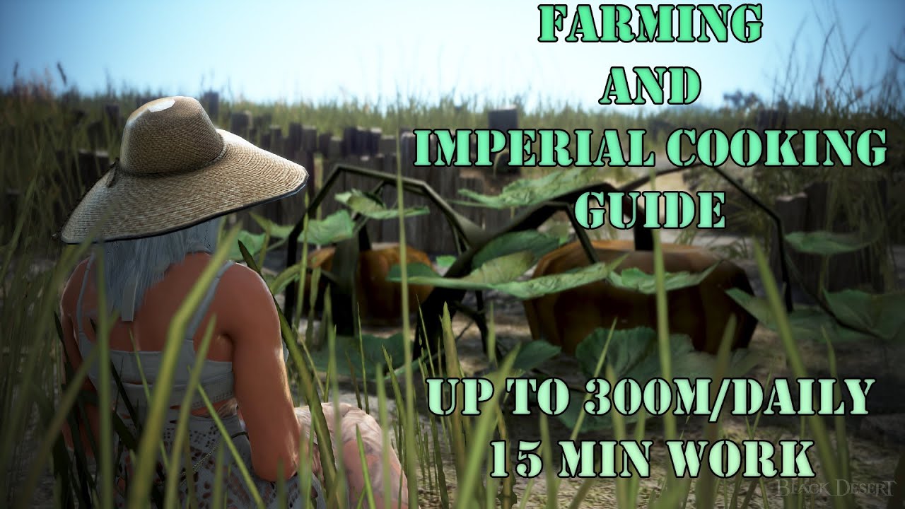 BDO - Farming and Imperial cooking guide - make up to 300m/day