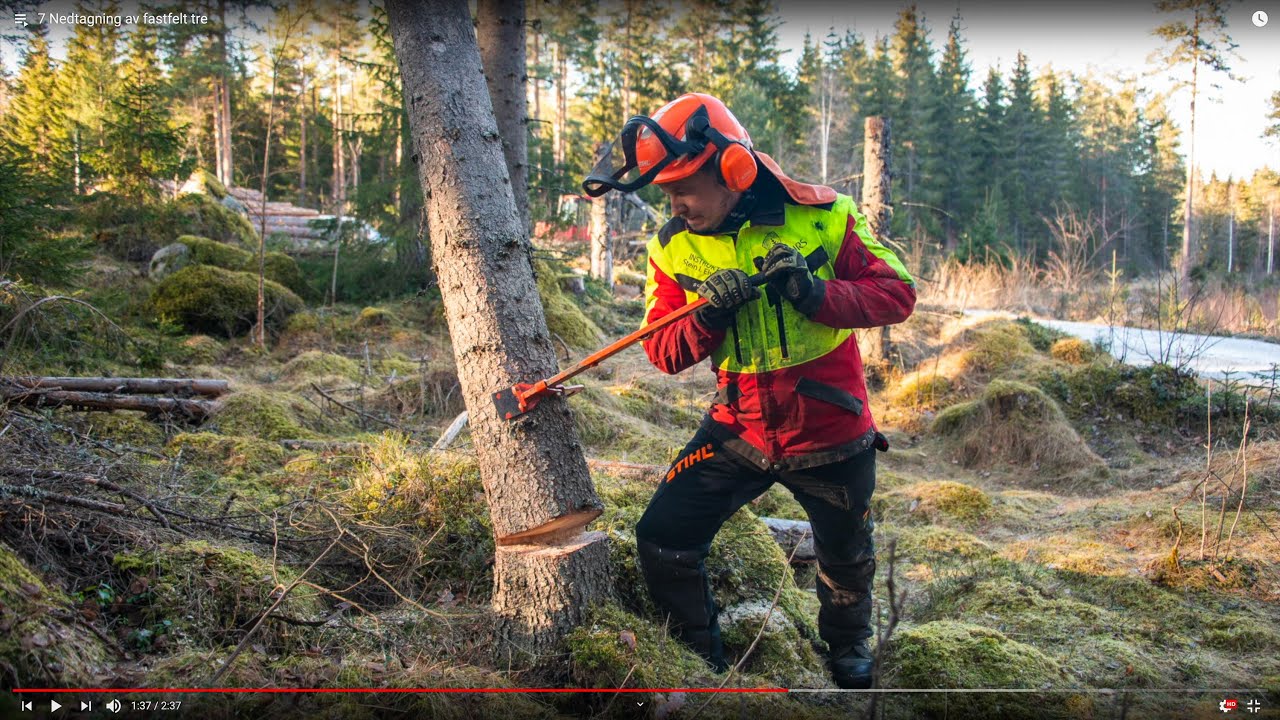 7 Nedtagning av fastfelt tre