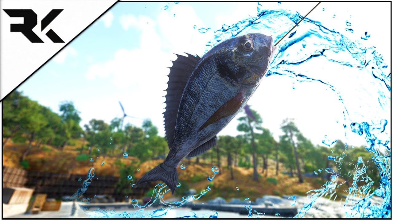 Scum 0.5 | How To Fish & What Skills You Will Need