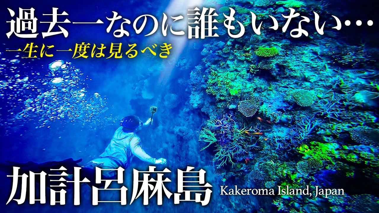 【教えたくない】加計呂麻島ひとり旅。世界最高レベルの奄美の秘境が最高すぎた！おすすめ絶景スポット【鹿児島・奄美群島・離島・旅行・観光・シュノーケリング】ちょいもーりー