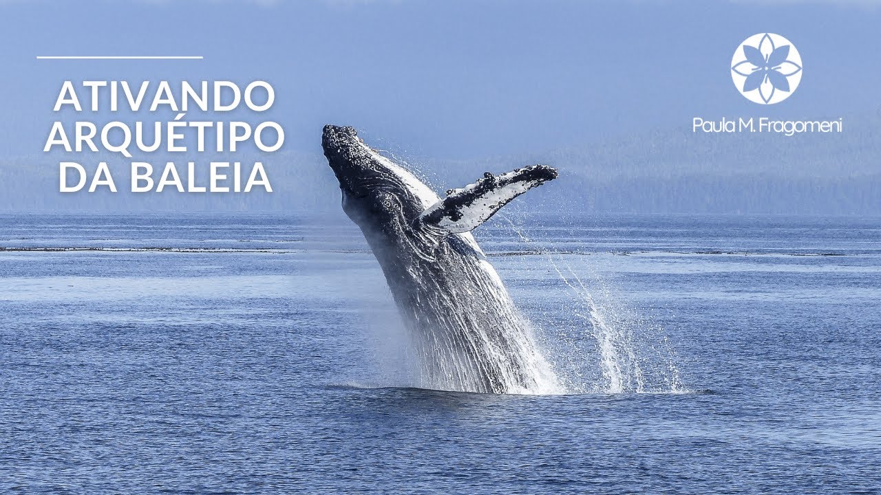 ATIVAÇÃO DO ARQUÉTIPO DA BALEIA
