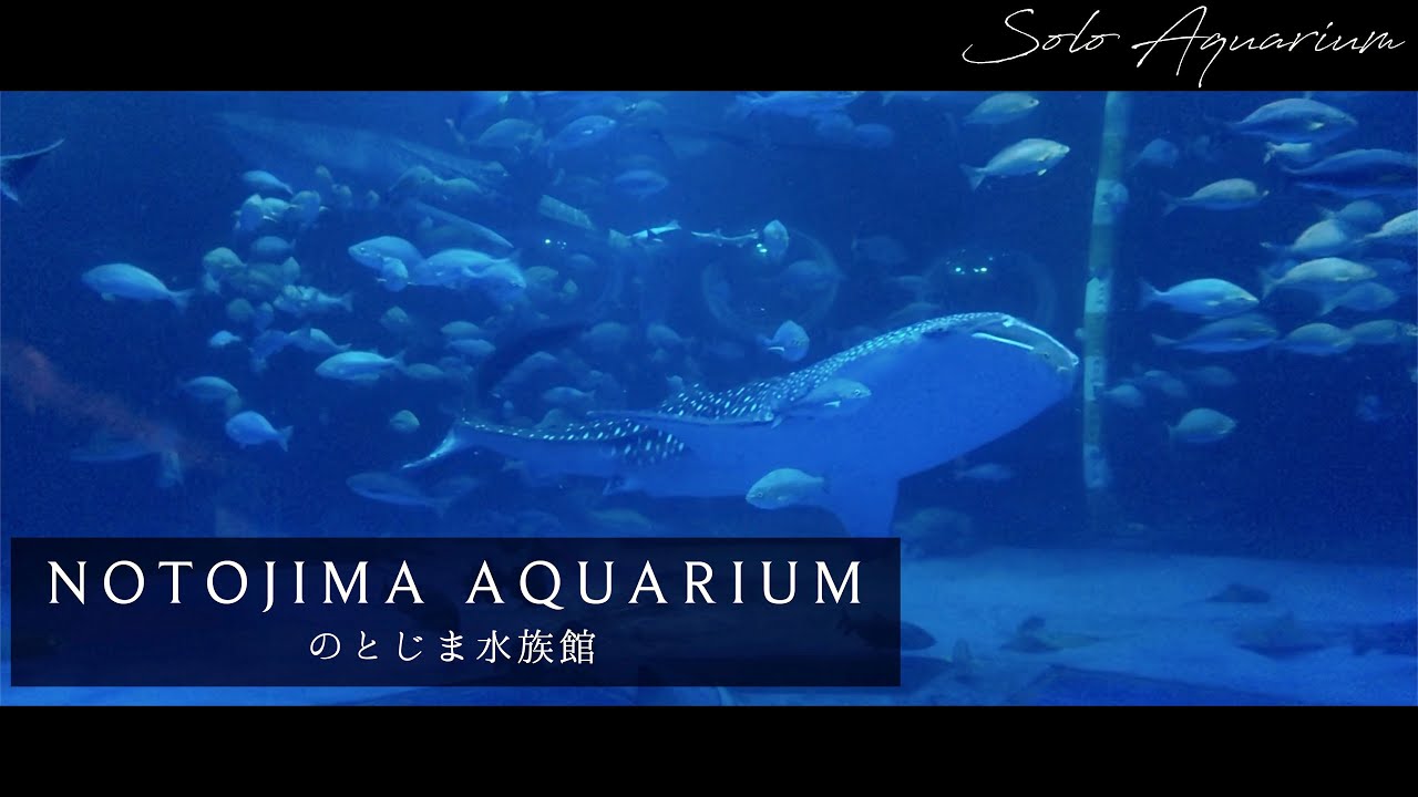 のとじま水族館のススメ１