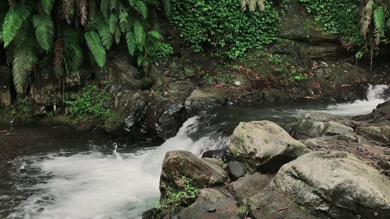 Refreshing Nature White Noise to help Restful Sleep, Relaxation & Inner Peace