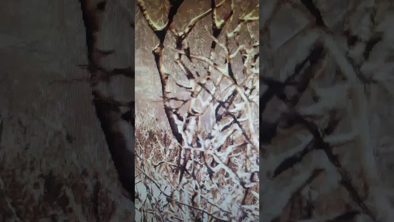 Far Cry Primal - Sex on the beach