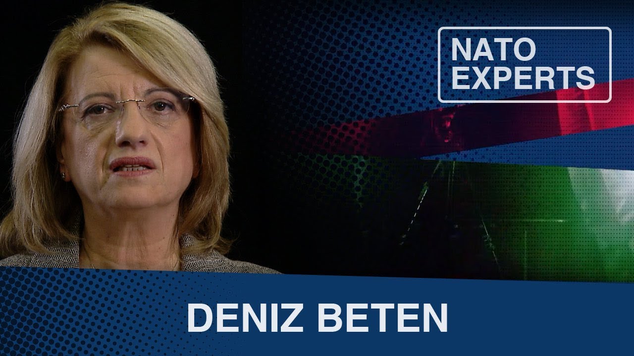 NATO Experts | How does NATO improve the quality of human life?