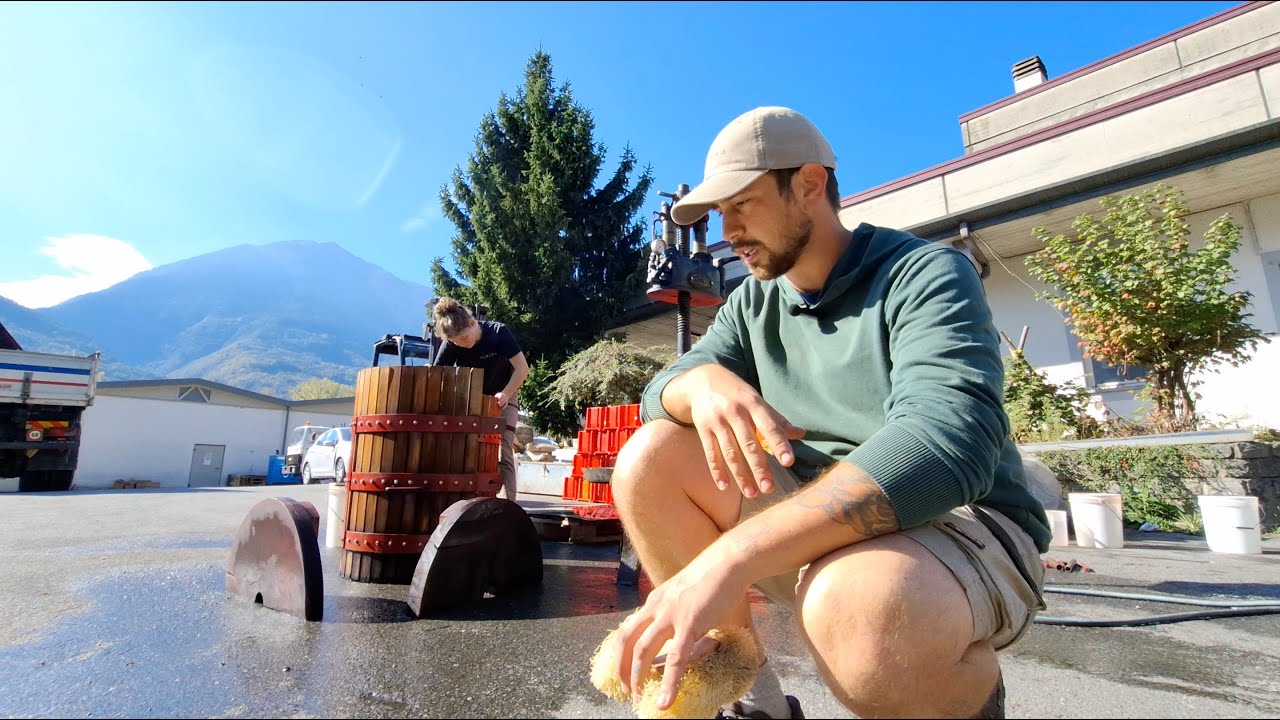 EP31- Pulizia torchio pre-vendemmia | Pre-harvest basket press cleaning