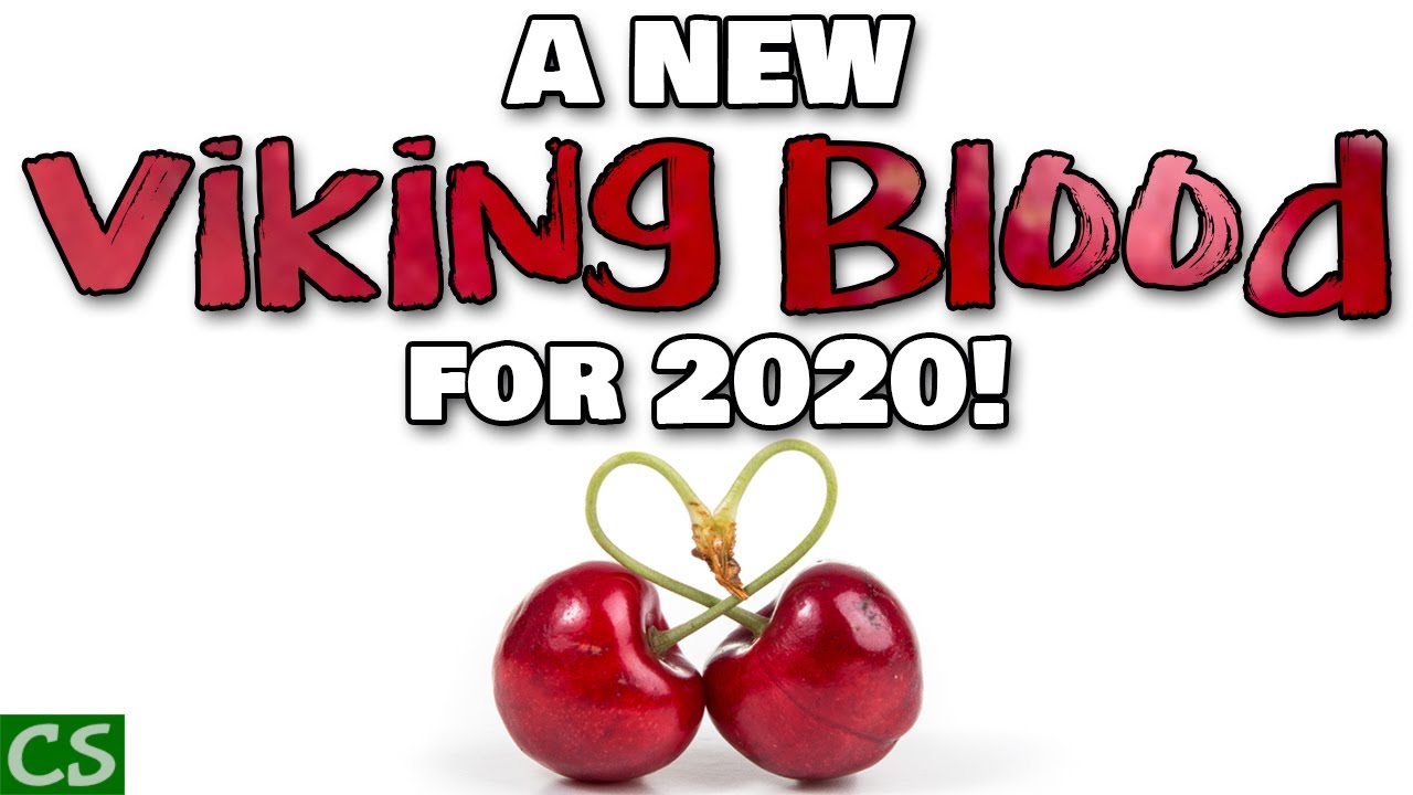Viking Blood Mead - NEW UPDATED RECIPE for 2020 - Make some Cherry Mead