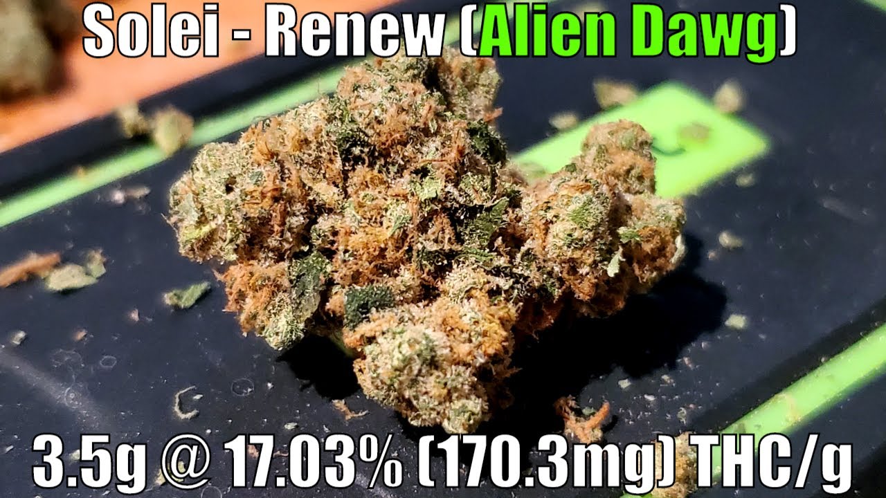 Solei - Renew (Alien Dawg) Unboxing Review - 3.5g @ 17.02% (170.2mg) THC/g (+Extreme Closeups)