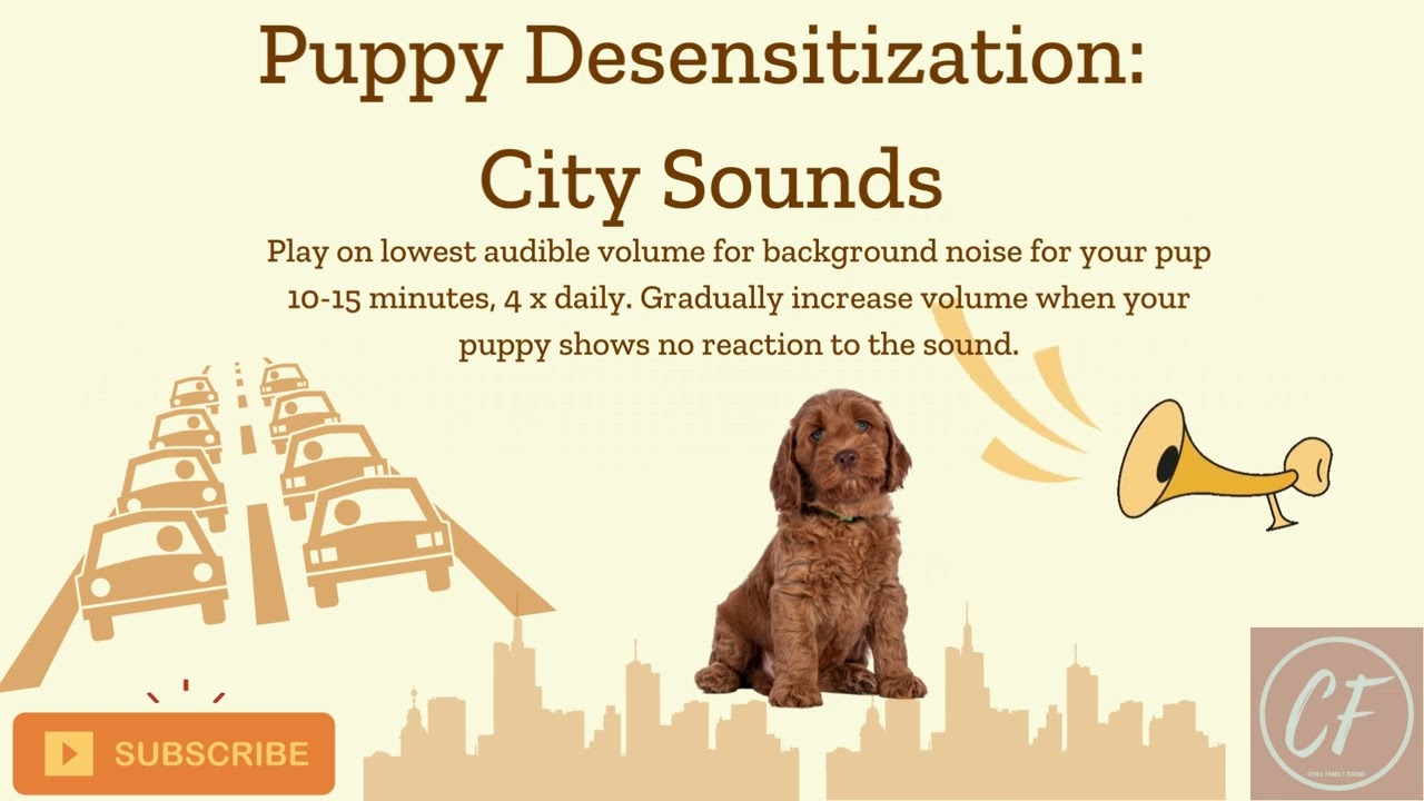 Puppy Desensitization: City Sounds