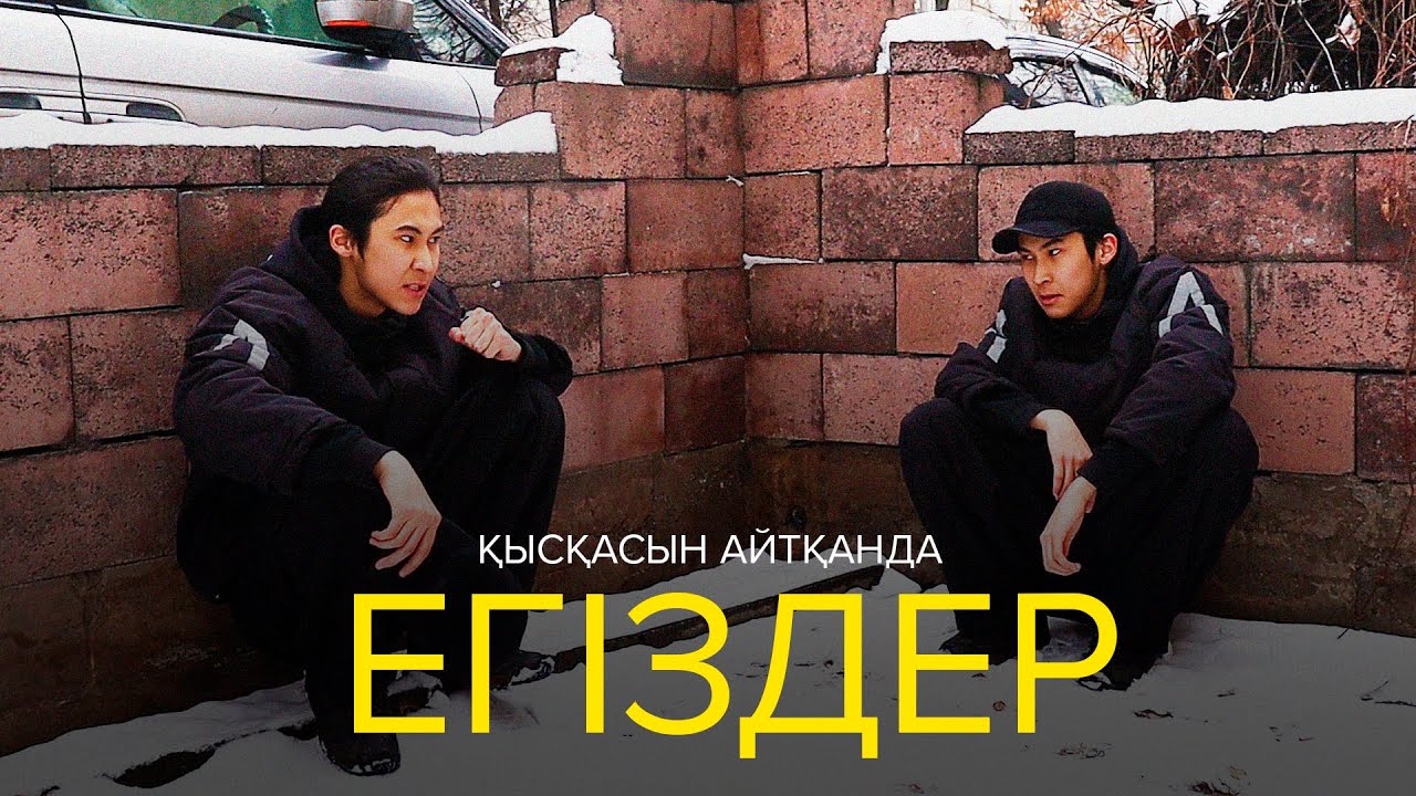 Қысқасын айтқанда, Егіздер