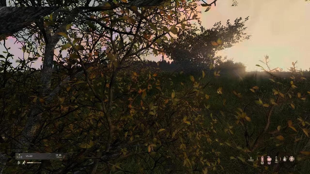 DayZ | Random fight