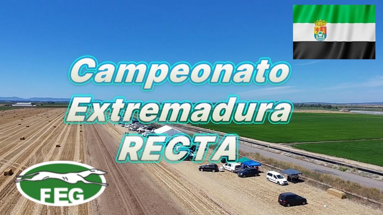 VII Campeonato de Extremadura de recta, FEG 13 de julio 2025