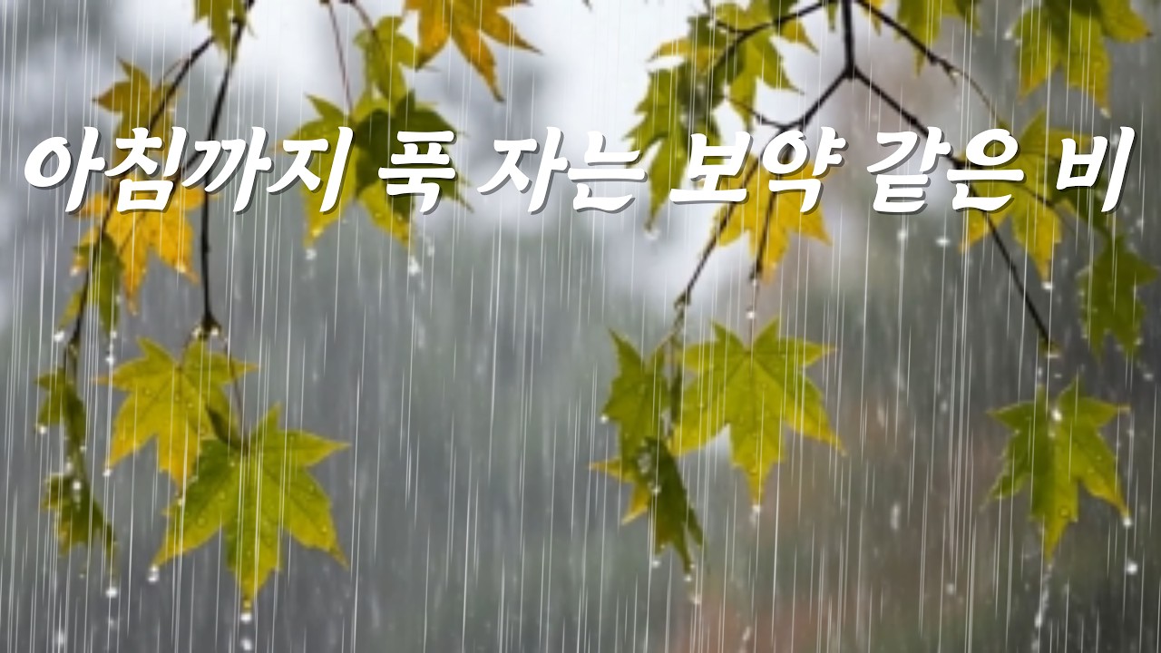 아침까지 푹 잘 자는 보약 같은 빗소리, [중간광고없음]10분후,검은화면, 깊은 수면과 편안한 밤을 위한 자연 사운드, ASMR