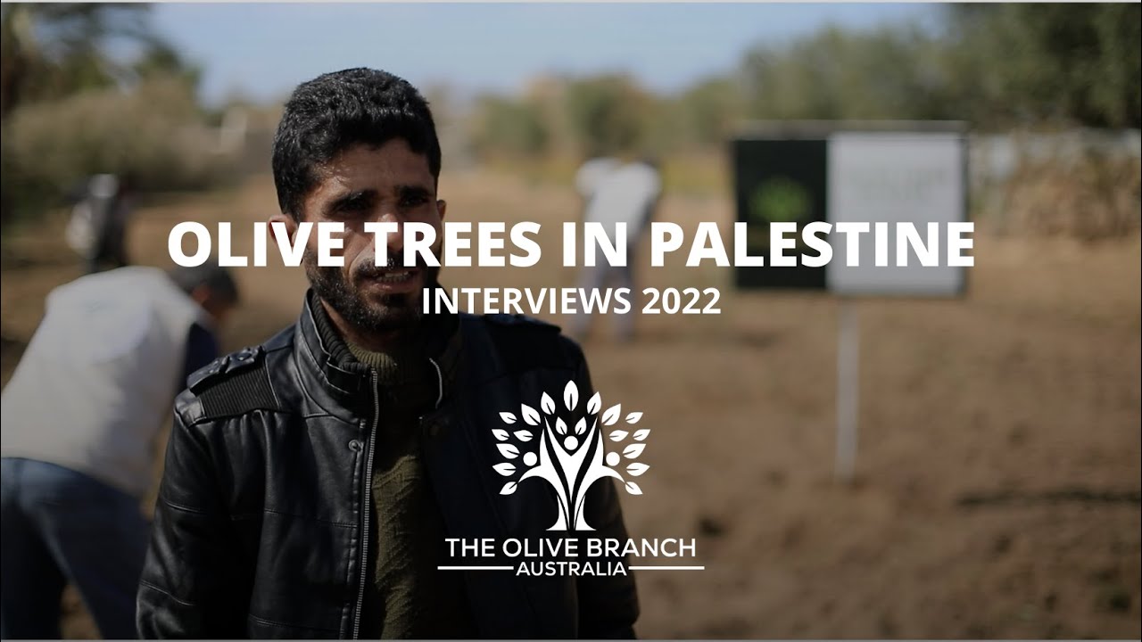 Donation of 50 Olive Trees in Palestine - Interview