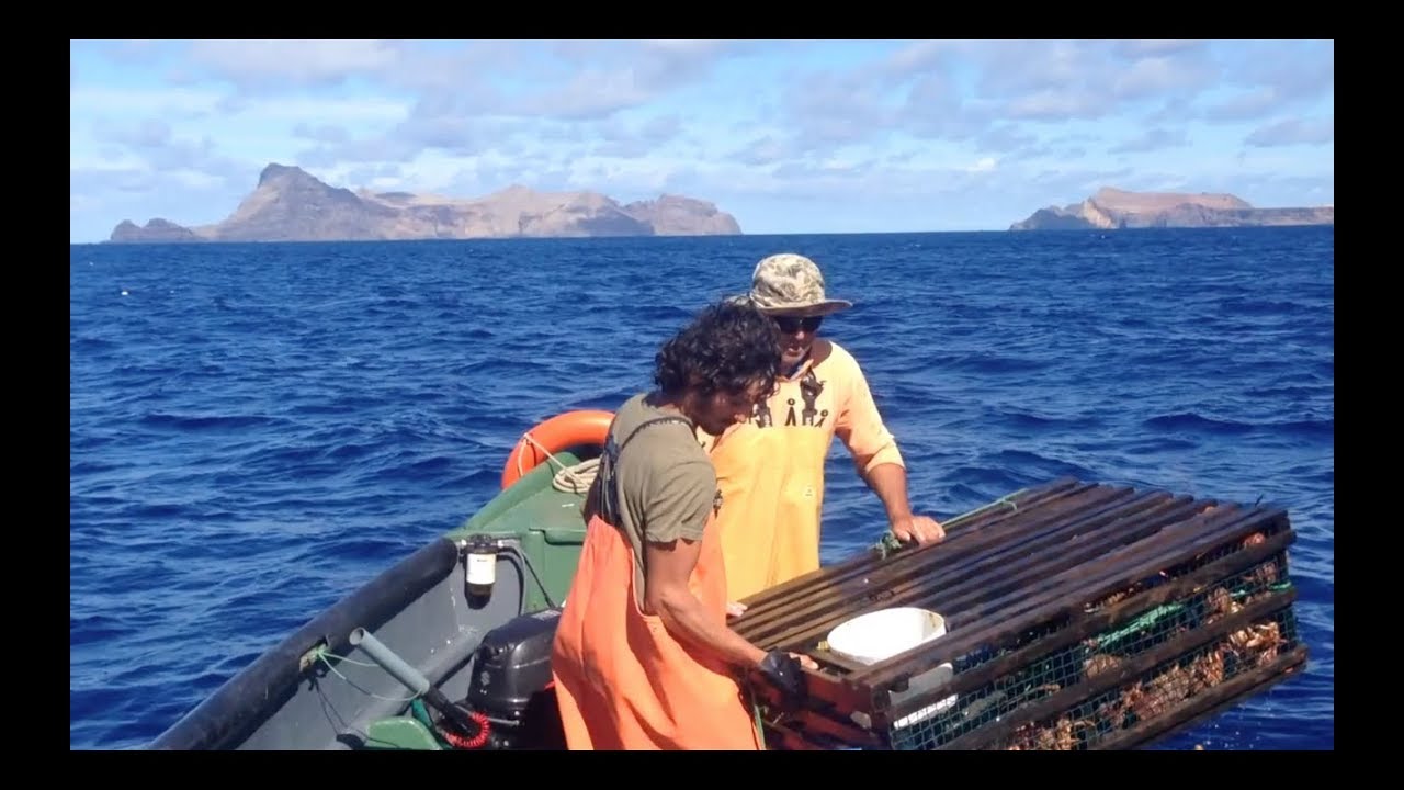 Trampa y Pesca de la Langosta de Juan Fernández