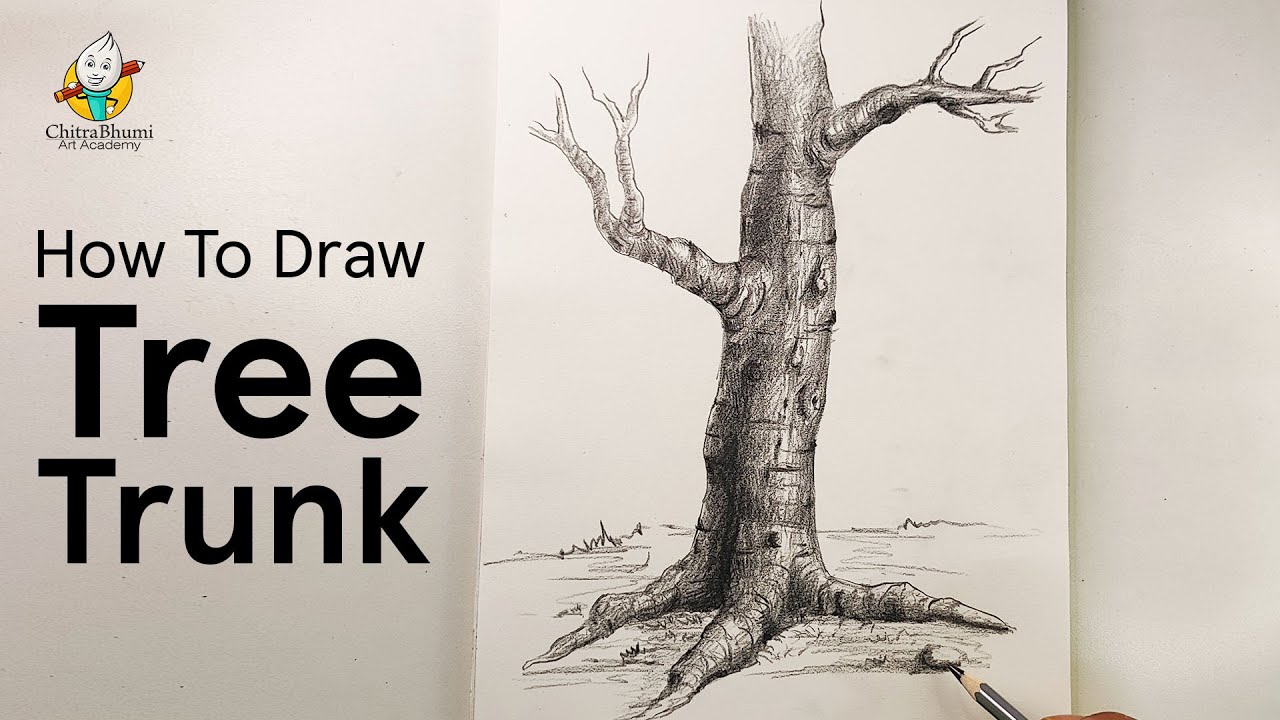 How To Draw Tree Trunk Step By Step with Pencil Drawing Shading Video